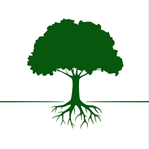 眉毛植毛：解決稀疏眉毛嘅有效方法